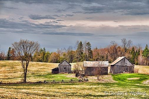 Hillside Farm_09326.jpg - Photographed near Maberly, Ontario, Canada.